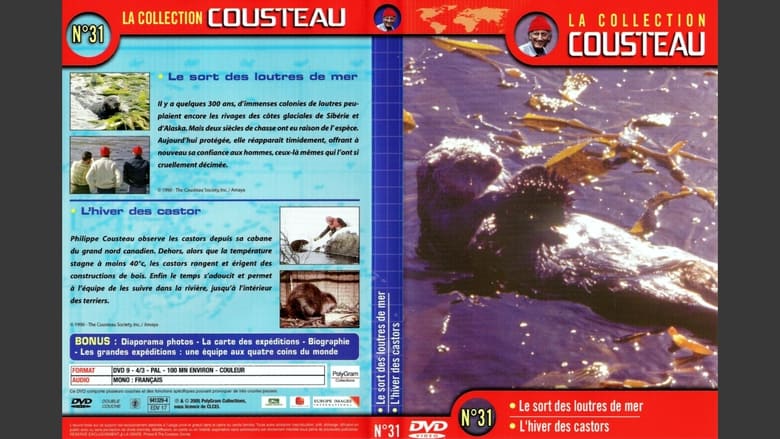 La collection Cousteau N°31 | Le sort des Loutres de mer | L'hiver des castor