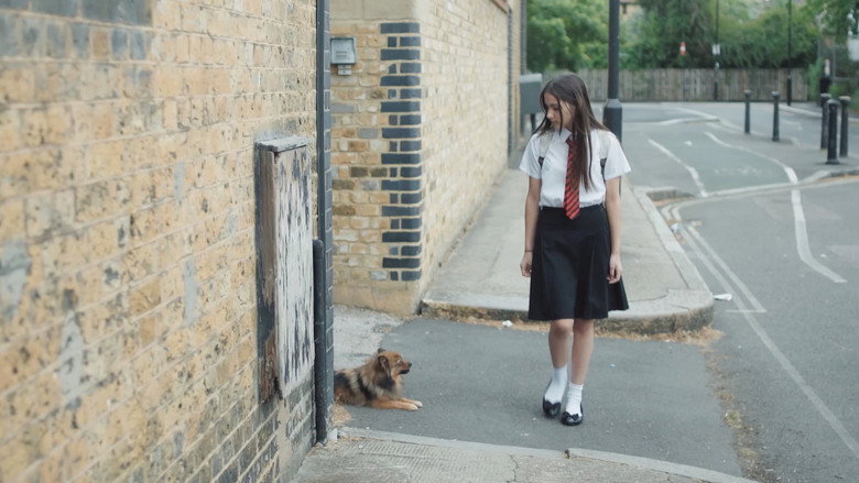 кадр из фильма Dog Days