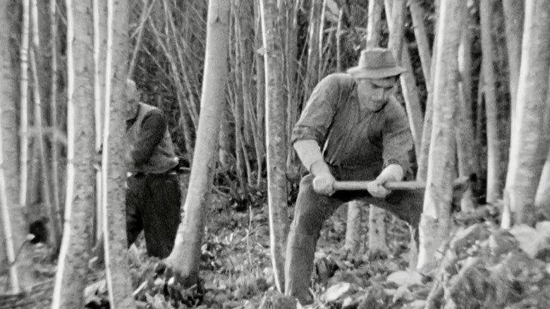кадр из фильма Il taglio del bosco
