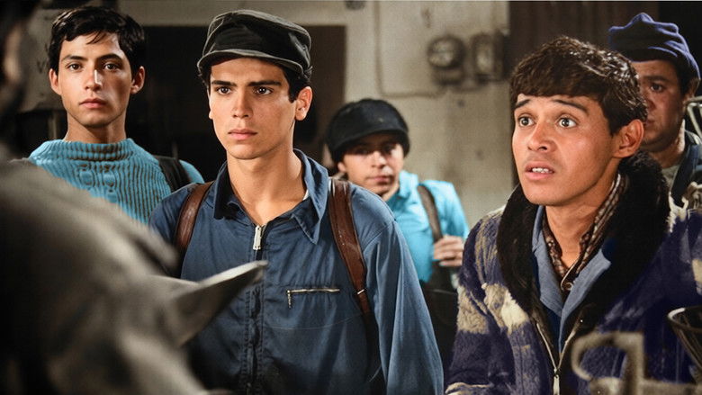 кадр из фильма Каноэ