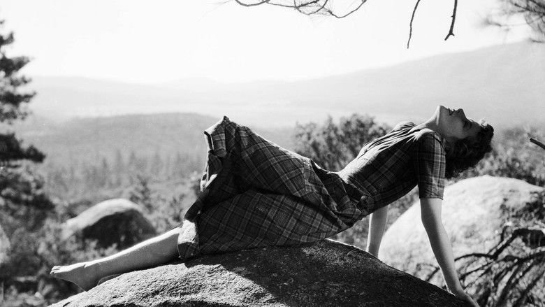 кадр из фильма Spitfire