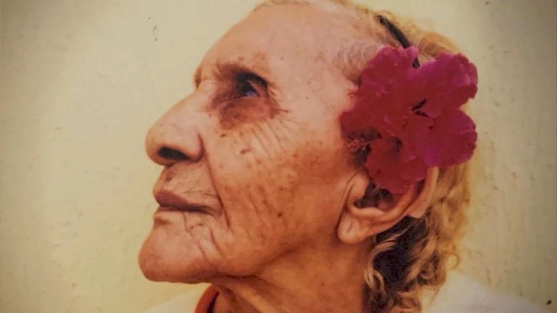 кадр из фильма Tereza e Bruno