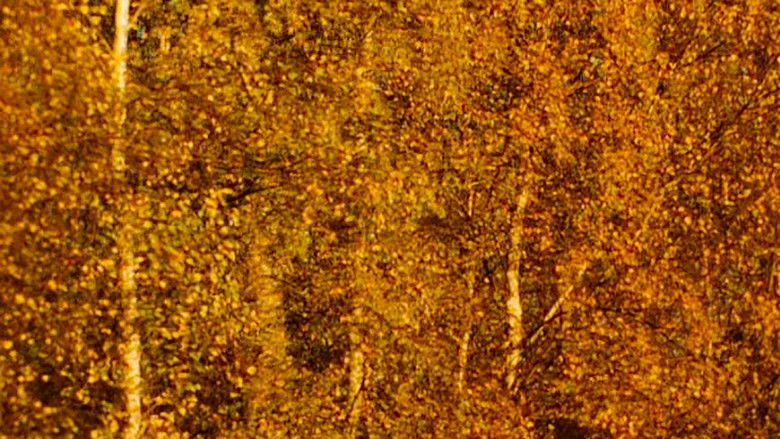 кадр из фильма Aspect