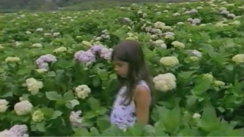 кадр из фильма Flores para os Mortos