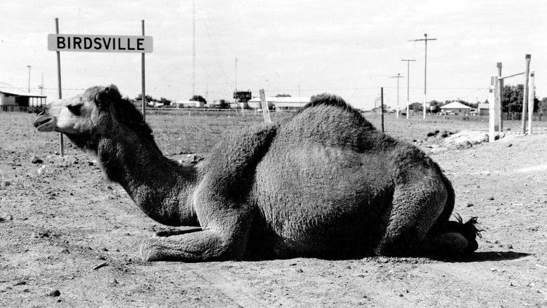 кадр из фильма Totes Herz