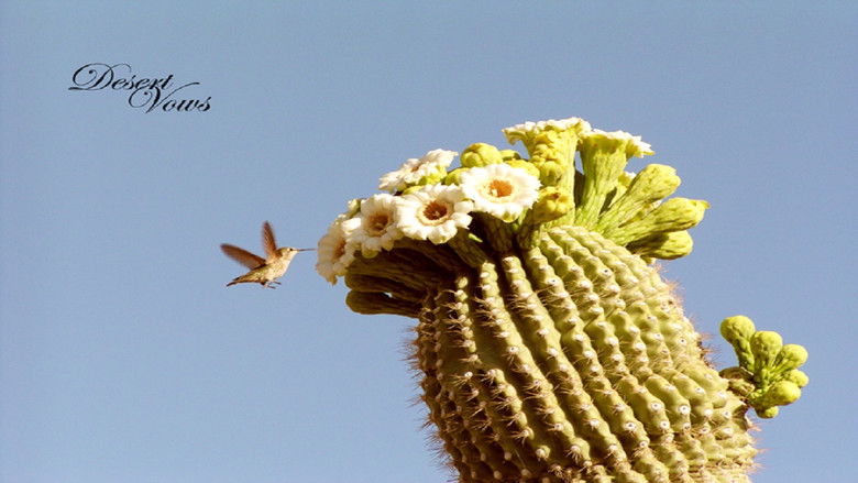 кадр из фильма Desert Vows