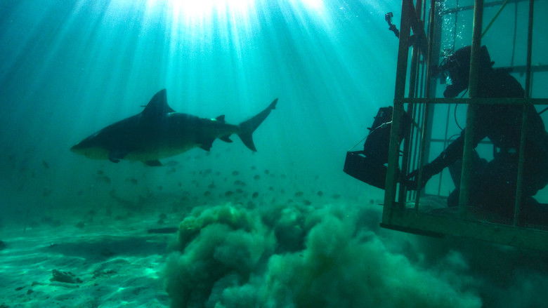 кадр из фильма Sharkcano