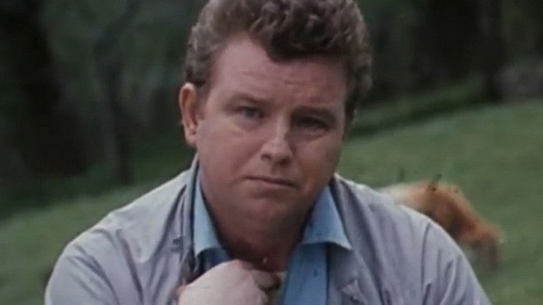 кадр из фильма Воспоминания о «Коровьем марше»