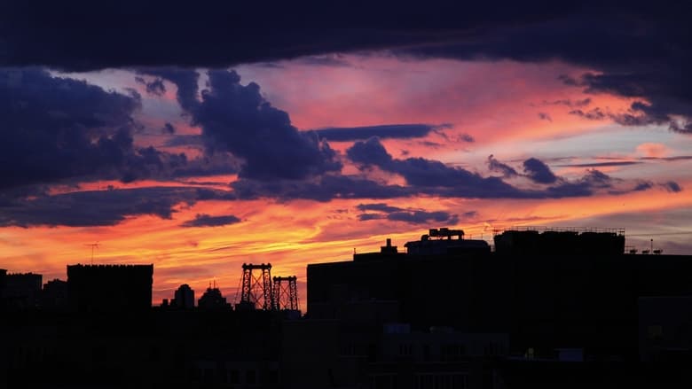 кадр из фильма Plato's Reality Machine