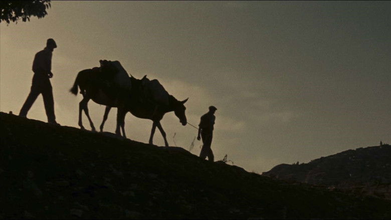 кадр из фильма Parabola d'oro