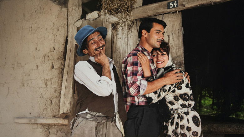 кадр из фильма Kaderin Önüne Geçilmez