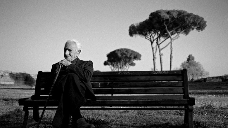 кадр из фильма The Treasure of His Youth: The Photographs of Paolo Di Paolo