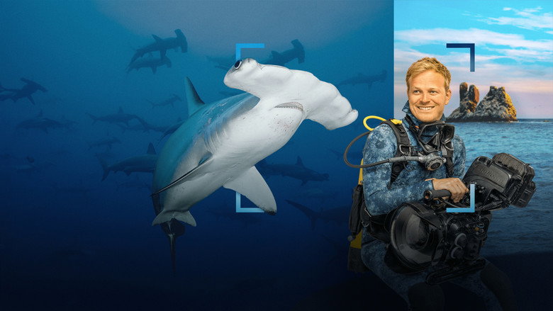 кадр из фильма Hammerhead Sharks Up Close with Bertie Gregory