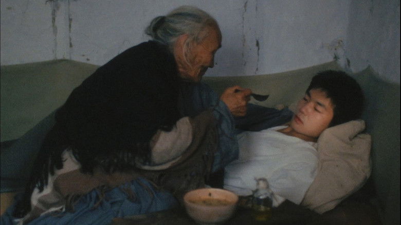 кадр из фильма Месть