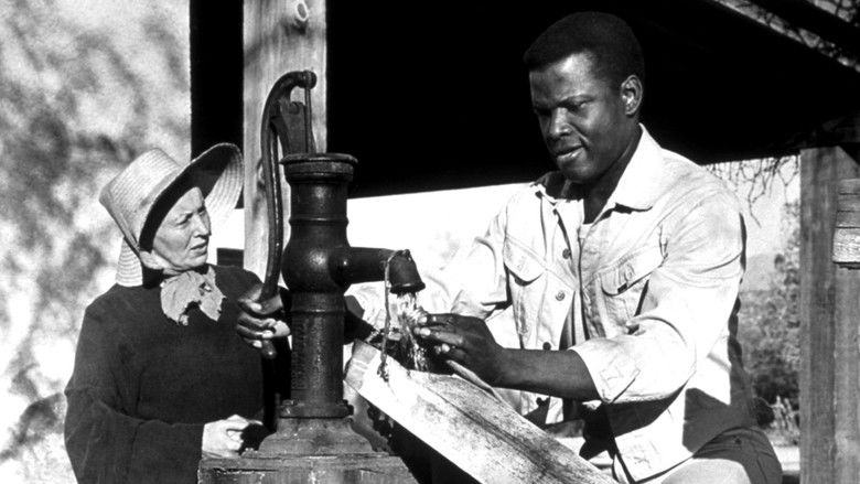 кадр из фильма Полевые лилии