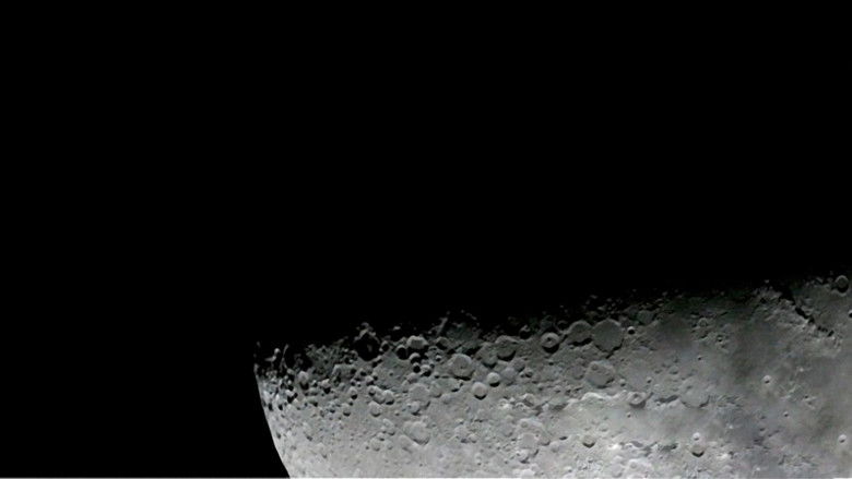 кадр из фильма Fallen Angels