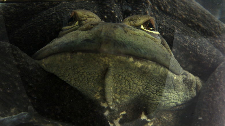 кадр из фильма The Lamps