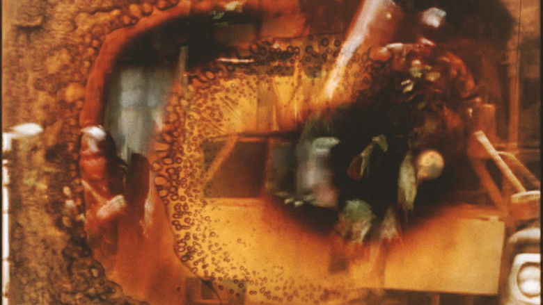 кадр из фильма 시네마 속 5월