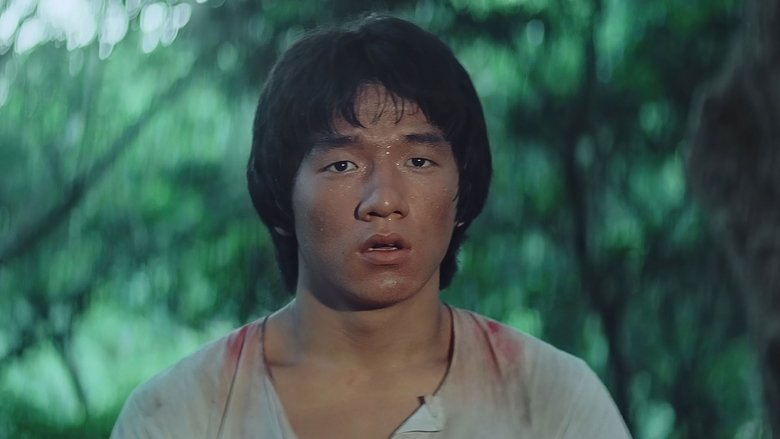 кадр из фильма Последнее испытание Шаолиня