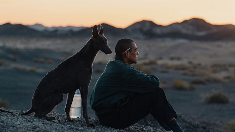 кадр из фильма Чёрный пёс