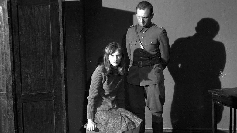 кадр из фильма Потом наступит тишина