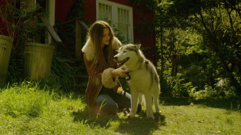 кадр из фильма Пропавшая жена Роберта Дёрста