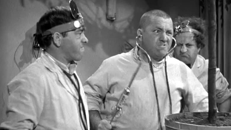 кадр из фильма Some More of Samoa