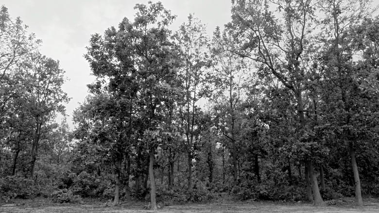 кадр из фильма সোনাঝুরির ভূত