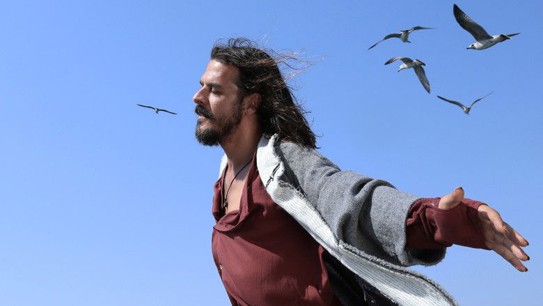 кадр из фильма Повелитель чаек