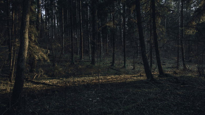 кадр из фильма Clover