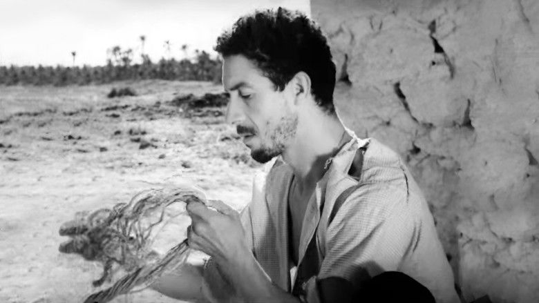 дайверы пустыни