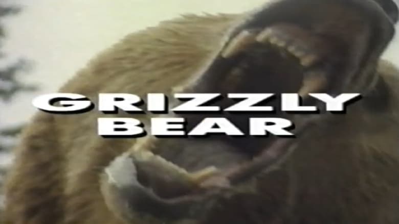 кадр из фильма Predators of the Wild: Grizzly Bear