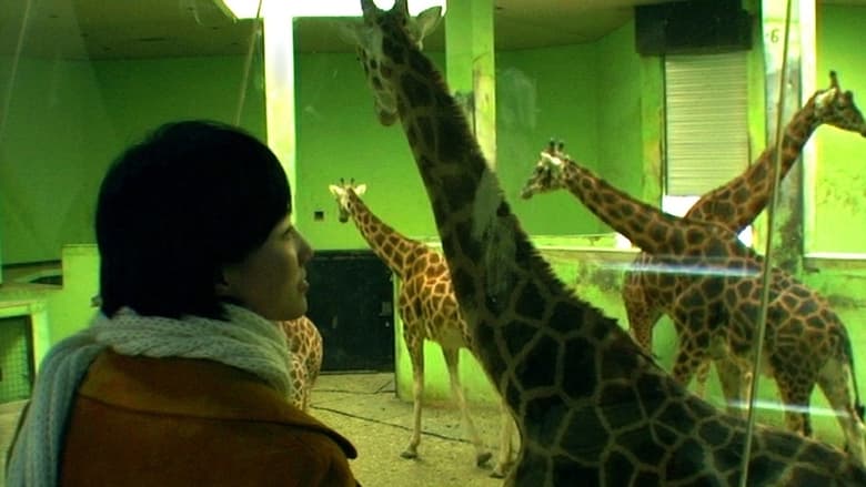 кадр из фильма 그 집 앞