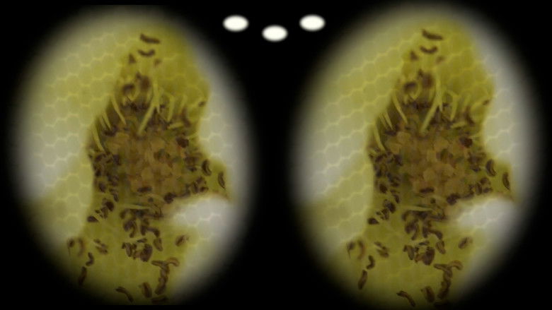 кадр из фильма Vital