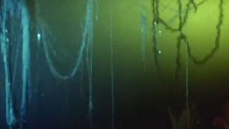 кадр из фильма Солнечное зёрнышко