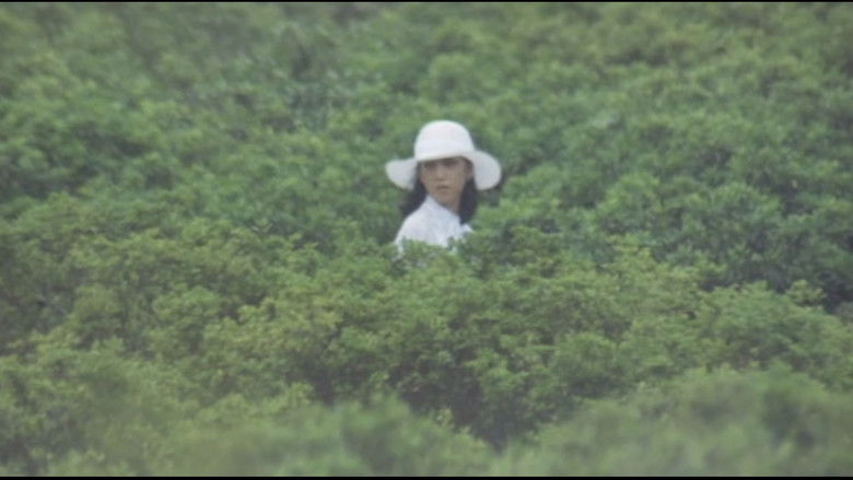 кадр из фильма 団鬼六　花嫁人形