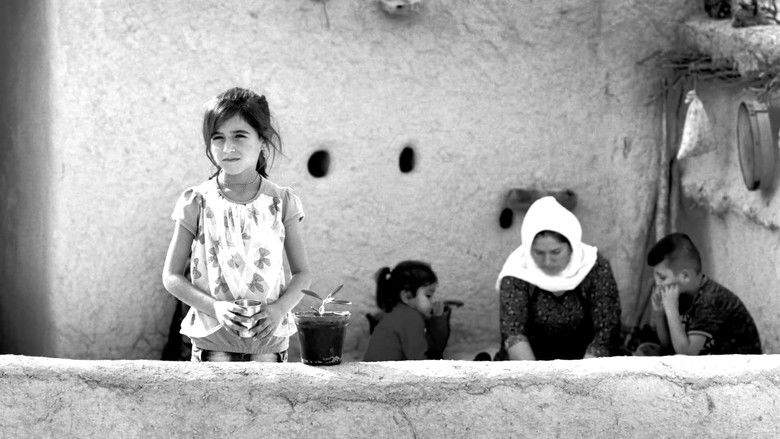 кадр из фильма Nameyên ji Şengal