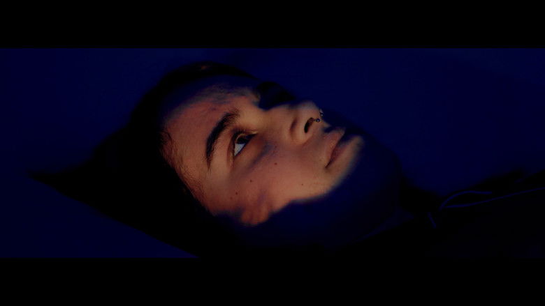 кадр из фильма Ladybug