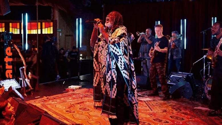 кадр из фильма Tiken Jah Fakoly - Les Concerts Volants