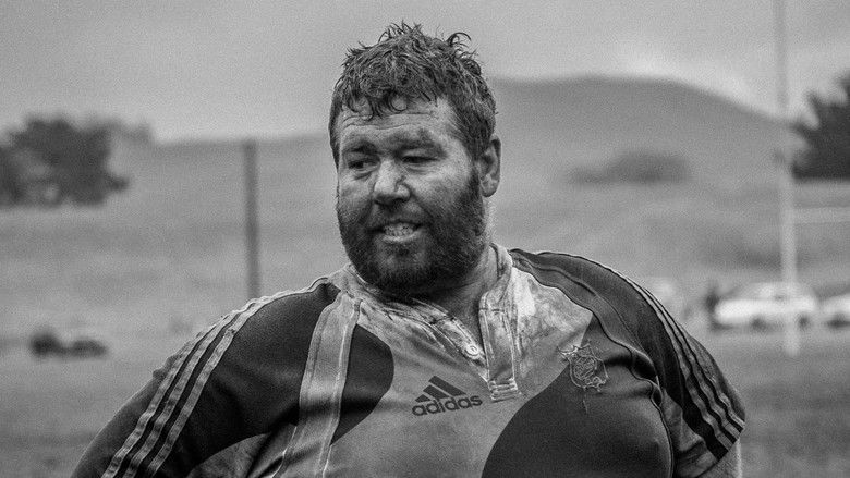 кадр из фильма The Ground We Won