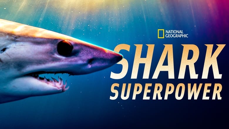 кадр из фильма Shark Superpower