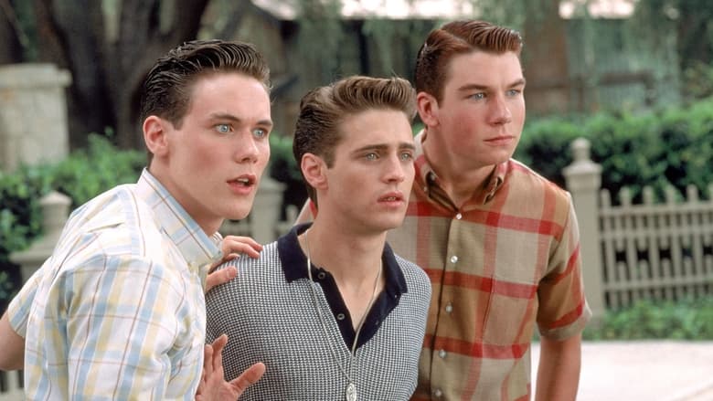 кадр из фильма Девушка из календаря