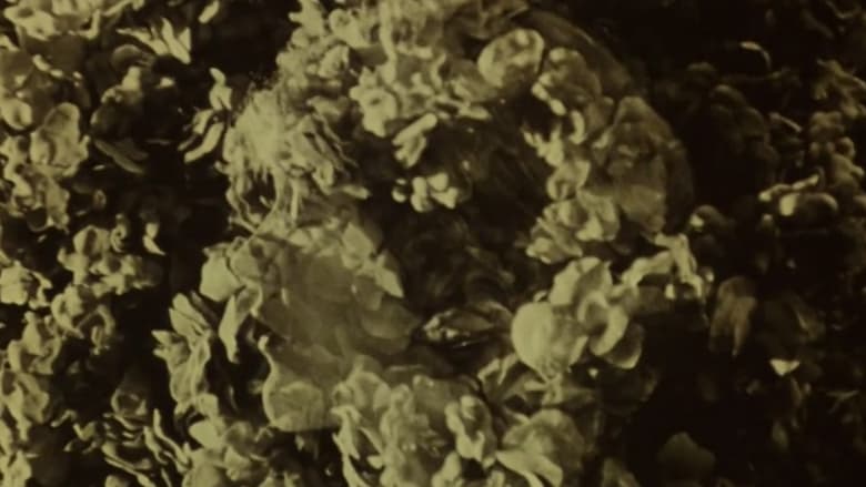 кадр из фильма Близняшки - пешки в чужой игре