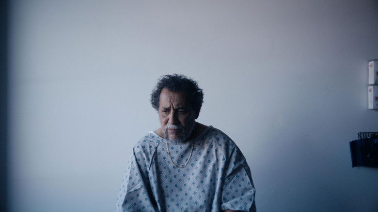 кадр из фильма As With Dogs