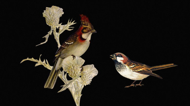 кадр из фильма W.H. Hudson’s Remarkable Argentine Ornithology