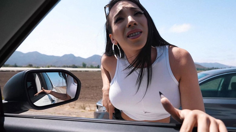 кадр из фильма Transsexual Hitchhikers 5