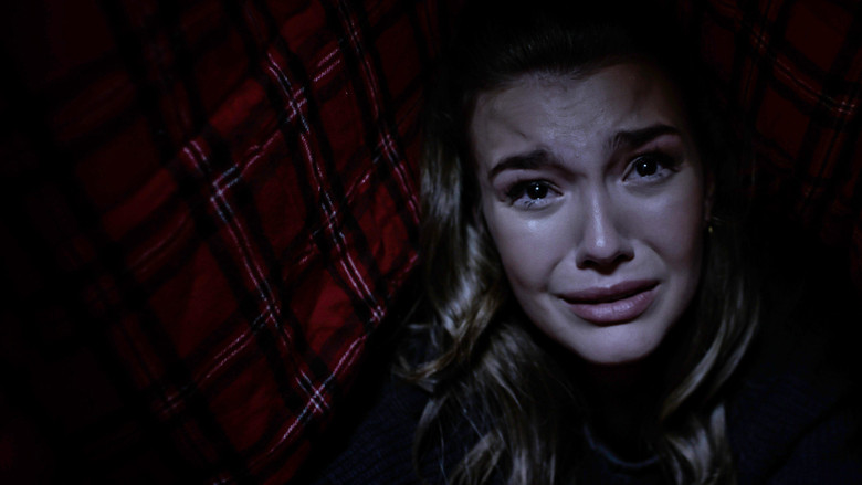 кадр из фильма Ночь гризли