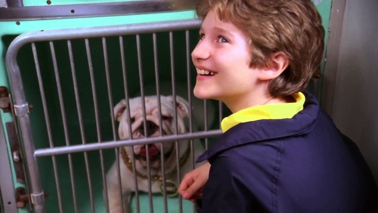 кадр из фильма Крестный пес