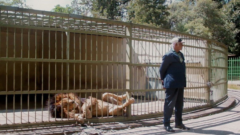 кадр из фильма WAX & GOLD