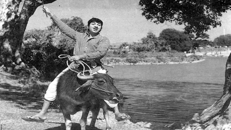 кадр из фильма ಸಂಪತ್ತಿಗೆ ಸವಾಲ್